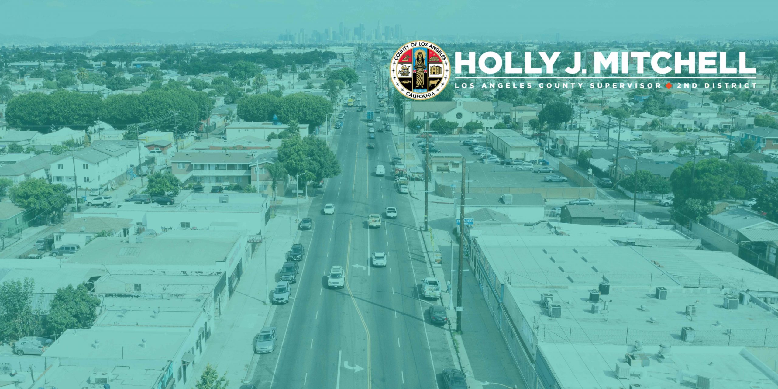 Website Banner